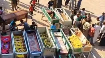 رئيس الوفد يعلّق على ضحايا حادث المنوفية ويشدد: ألمهم هو ألم كل منزل مصري