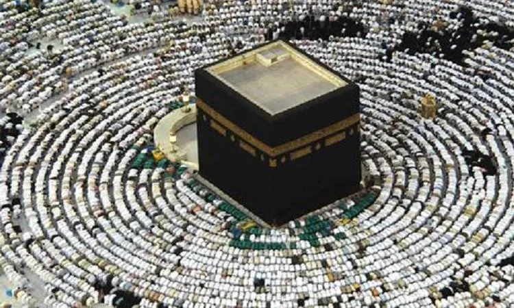 رئيس بعثة الحج: موسم حج متميز مع تعاون وثيق مع الجهات السعودية
