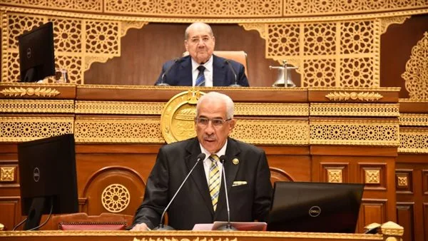 رئيس مجلس الشيوخ: يجب تناول قضايا البيئة بعمق، واستخدام التشريع المقارن ليس خطأً.