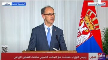 رئيس وزراء صربيا: مصر تُعتبر محور الاستقرار في المنطقة