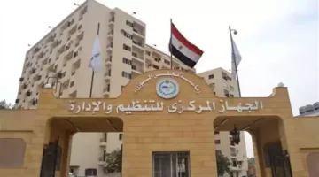 رابط لنتائج مسابقة معلمي اللغة الإنجليزية المساعدين.. تحقق منها الآن