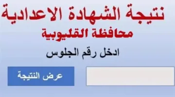 رابط نتائج الشهادة الإعدادية 2025 في القليوبية متوفر هنا