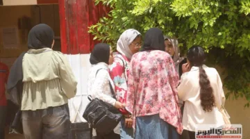 رابط نتائج الصف الثالث الإعدادي في محافظة المنوفية 2025 باستخدام رقم الجلوس (عند اعتمادها)