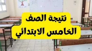 رابط نتائج الصف الخامس الابتدائي للنصف الثاني من عام 2025 في كافة المحافظات