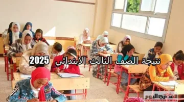 رسميًا: نتائج الصف الثالث الابتدائي 2025 في مدارس الإسكندرية.. ومتى سيتم الإعلان عنها في القاهرة؟