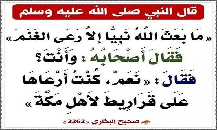 رعاية الأنبياء للماشية: دروس وعبر رعاية الأنبياء للماشية: دروس وعبر