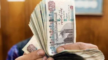 رفع رواتب أعضاء هيئة التدريس في مصر 2025: التفاصيل وتاريخ التنفيذ