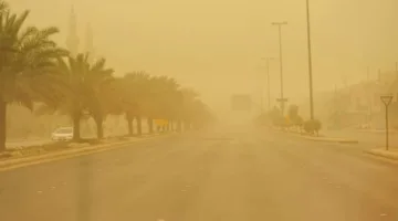رياح قوية ووجود ضباب في تبوك