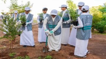 زراعة أكثر من 273 ألف شجرة في المدينة المنورة في إطار مكافحة التصحر