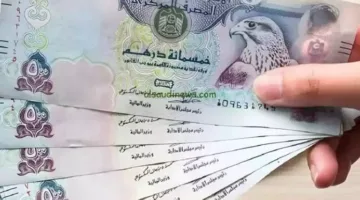 زيادة أسعار 6 عملات عربية مقابل الجنيه اليوم الأحد 15-6-2025