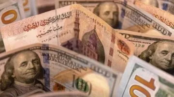 زيادة أسعار الدولار اليوم مقابل الجنيه في البنوك المصرية