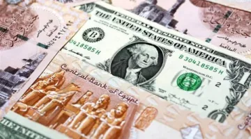 زيادة أسعار الدولار مقابل الجنيه في ختام تداولات يوم الأربعاء 18 يونيو 2025