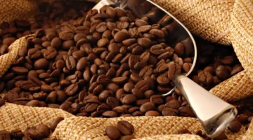 زيادة أسعار عقود البن العربي بسبب مخاوف من نقص الإمدادات وتأثيرات الطقس في البرازيل وكولومبيا.
