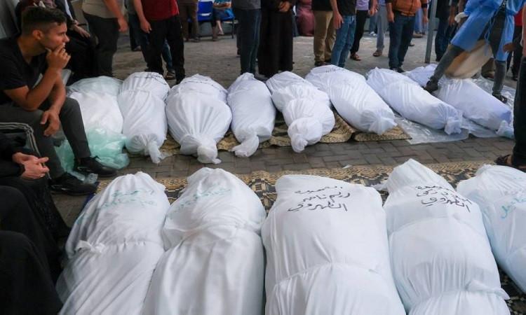 زيادة عدد الشهداء الفلسطينيين نتيجة العدوان الإسرائيلي على غزة إلى 55,493 شخصاً. زيادة عدد الشهداء الفلسطينيين نتيجة العدوان الإسرائيلي على غزة إلى 55,493 شخصاً.