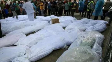 زيادة عدد الشهداء في قطاع غزة ليصل إلى 55,998 شهيداً