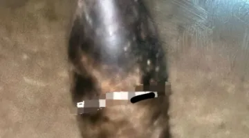 سقوط رأس صاروخ في منطقة عكار خلال الليل