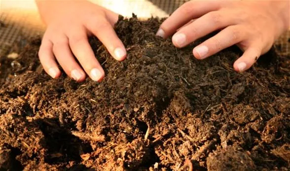“سماد مصر” تنفي وجود عوامل رئيسية تسببت في زيادة سعر السهم “سماد مصر” تنفي وجود عوامل رئيسية تسببت في زيادة سعر السهم