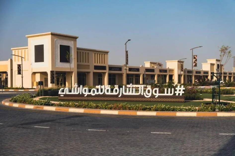 سوق المواشي في الشارقة يستقبل 31 ألف زائر خلال عيد الأضحى
