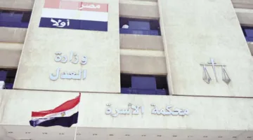 سيدة في قضية خلع: «يعامل زوجة أخيه كزوجته ويشاركها كل تفاصيل حياته»