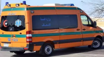 شاب يُفارق الحياة نتيجة صعقة كهربائية داخل ثلاجة بطاطس في الغربية