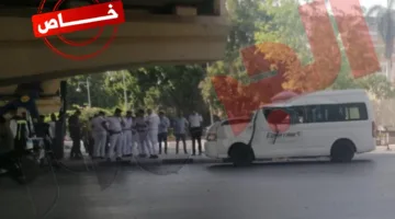 شجرة ضخمة تسقط عليهم.. 9 موظفين في شركة مصر للطيران بين قتيل وجريح