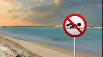 شرطة أبوظبي وهيئة البلديات والنقل تدعو الجمهور لتفادي السباحة في الأماكن الممنوعة