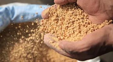 شركات العلف الصينية تبرم أول صفقة جملة لفول الصويا الأرجنتيني منذ 2019
