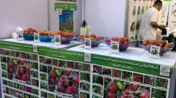 شركة إليكس للمنتجات الزراعية تتفاوض مع وكالات صينية لاستيراد بذور الخضروات