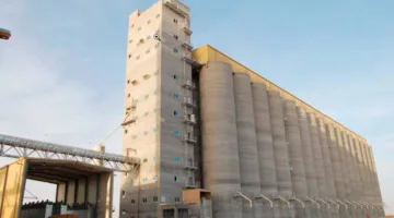 شركة مطاحن جنوب القاهرة تحقق أرباحًا قدرها 3.3 مليون جنيه في مايو