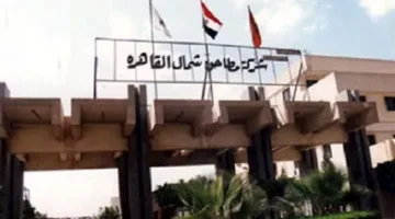 شمال القاهرة لل مطاحن والمخابز تعمل على تطوير 13 نقطة بيع لزيادة مبيعاتها