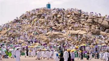 شيخ الأزهر يبارك للسعودية نجاح موسم الحج لعام 1446هـ
