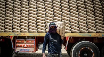 صادرات الأسمنت المصري تتخطى 200 مليون دولار بفضل السوق العربية
