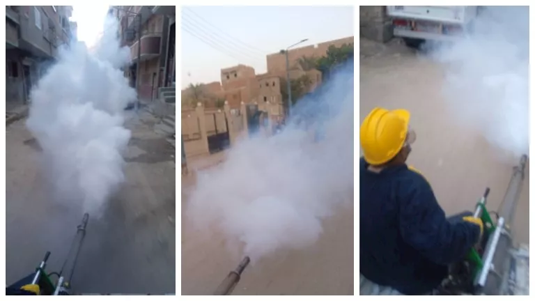 صحة أسيوط تعزز جهود مكافحة الحشرات خلال أيام عيد الأضحى صحة أسيوط تعزز جهود مكافحة الحشرات خلال أيام عيد الأضحى