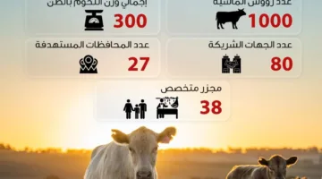 صندوق تحيا مصر يحقق استفادة 1.5 مليون من الأسر الأكثر احتياجًا.. إنفوجراف