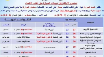 صور: “الأرصاد” تُشير إلى استمرار ارتفاع درجات الحرارة مع وصول العظمى غداً في القاهرة إلى 37 درجة.