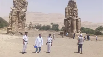 صور: “العيادة البيطرية في الأقصر تحصن الكلاب الضالة بالقرب من تمثالي ممنون في البر الغربي”