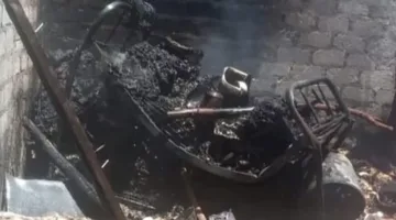 صور: حريق ضخم يدمر المواشي ومحصول القمح في منزل بسوهاج