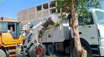 صور: رئاسة أرمنت تواصل جهود تنظيف الشوارع في الأقصر