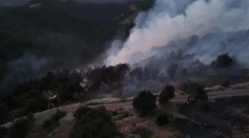 صور وفيديو: احتواء الحريق في جبال القبيات شمال لبنان