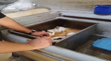 ضبط 1.5 طن من الدواجن غير مناسبة للاستهلاك البشري في القليوبية