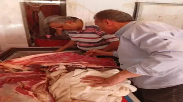 ضبط 1670 كيلو جرام من اللحوم والدجاج الفاسد في حملة تفتيشية بالدقهلية