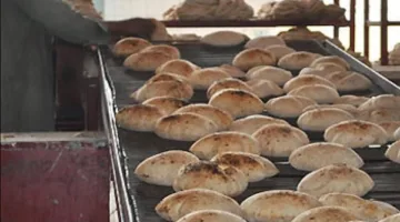 ضبط 330 انتهاكاً تموينياً خلال حملات تفتيشية على المخابز والأسواق في القليوبية