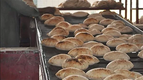 ضبط 330 انتهاكاً تموينياً خلال حملات تفتيشية على المخابز والأسواق في القليوبية
