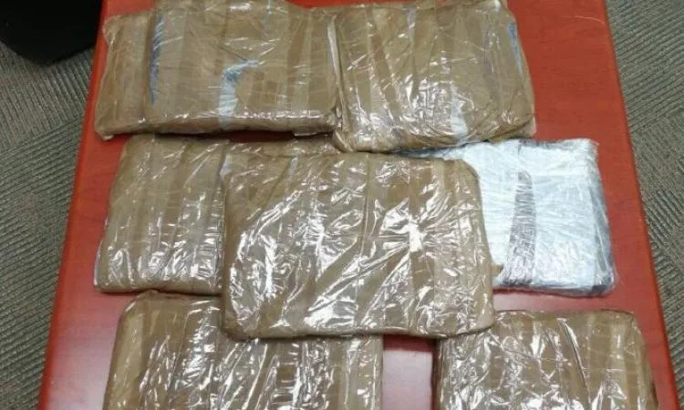 ضبط 352 قضية مخدرات وتنفيذ 85 ألف حكم قضائي خلال 24 ساعة ضبط 352 قضية مخدرات وتنفيذ 85 ألف حكم قضائي خلال 24 ساعة