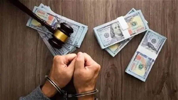 ضبط قضايا تهريب عملات أجنبية بقيمة 52 مليون جنيه خلال 24 ساعة