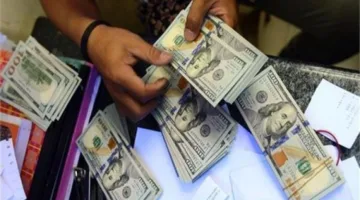 ضبط قضايا تهريب عملة أجنبية بقيمة 7 ملايين جنيه خلال 24 ساعة