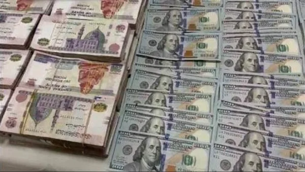 ضبط مخالفات تجارة العملة بقيمة تتجاوز 8 ملايين جنيه ضبط مخالفات تجارة العملة بقيمة تتجاوز 8 ملايين جنيه