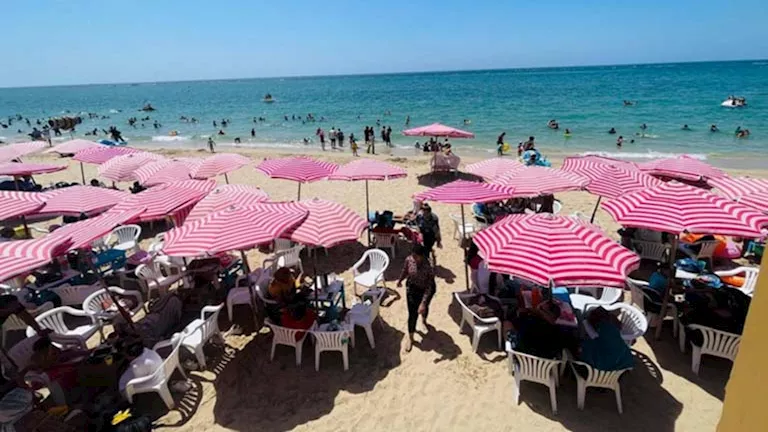 طاحونة المندرة: شاطئ الإسكندرية الحديث الذي أسر القلوب بتكلفة 30 جنيهاً طاحونة المندرة: شاطئ الإسكندرية الحديث الذي أسر القلوب بتكلفة 30 جنيهاً