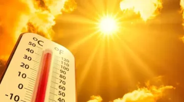 طقس الجمعة: زيادة درجات الحرارة والرطوبة مع وصول العظمى إلى 36 درجة في القاهرة