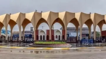 طلاب كلية الفنون الجميلة في حلوان يحصدون المركز الأول في مسابقة دولية بالتعاون مع جامعة ممفيس